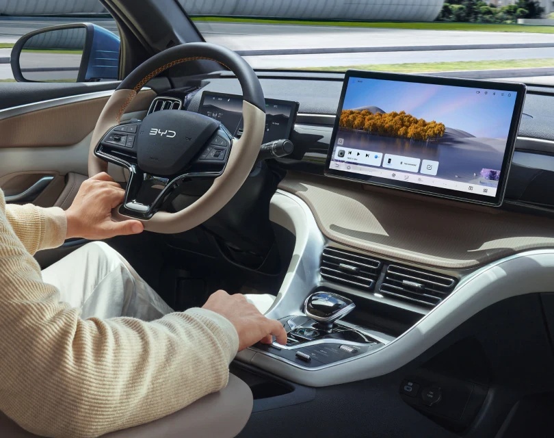 SEALION 5 DM-i Cabin adjustment