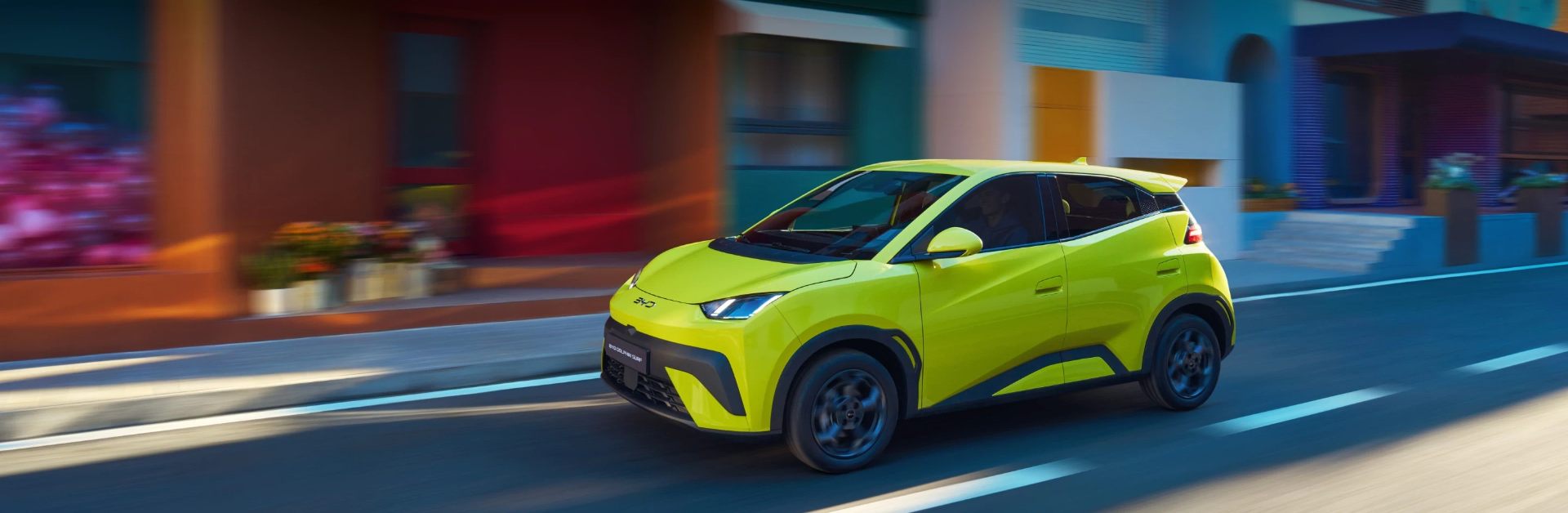 DOLPHIN SURF - Banner 2